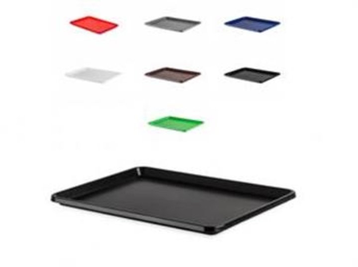 Tabuleiro Plastico 41x30cm 