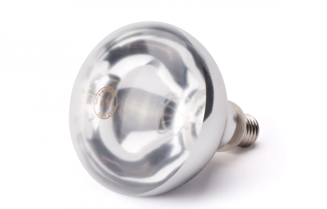 Lampada Aquecimento Infravermelhos 250w