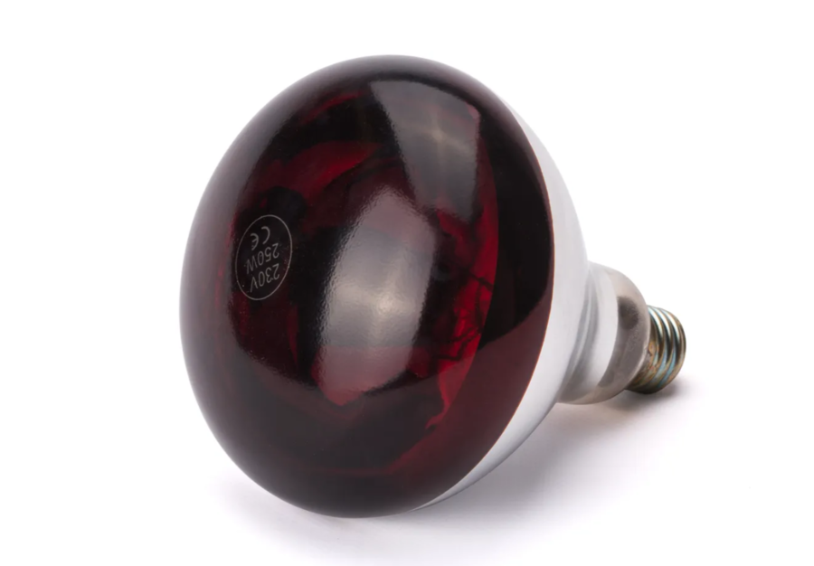 Lampada Aquecimento Infravermelhos 250w